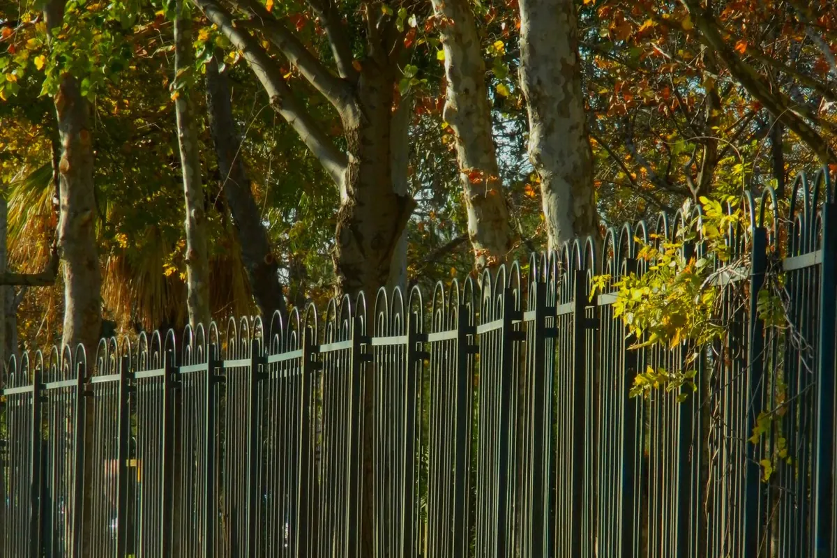 Black metal picket fence following a curving sidewalk