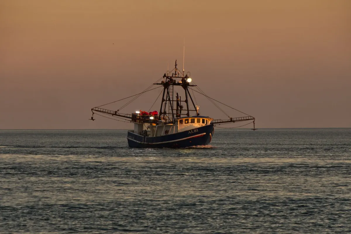 Shrimp boat on calm water at sunset